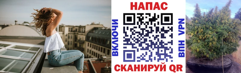 Бошки марихуана ГИДРОПОН  Верхоянск 